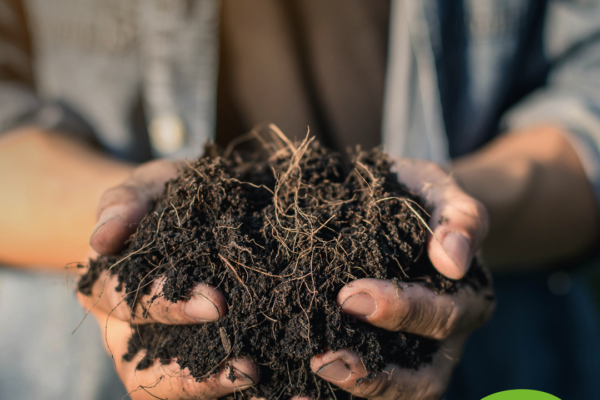 Kompost aus Bioabfall