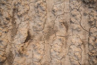 Ausgetrockneter Ackerboden