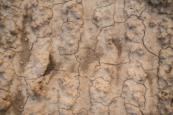 Ausgetrockneter Ackerboden