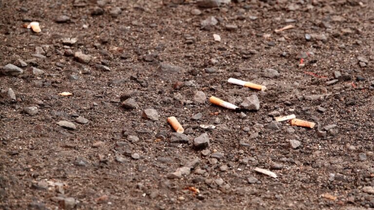 Zigarettenkippen auf der Straße