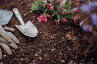 Kompost im Garten
