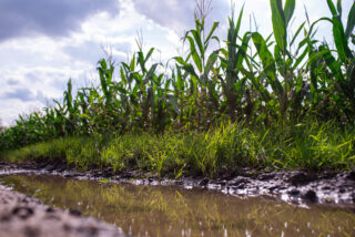 Überschwemmtes Ackerland